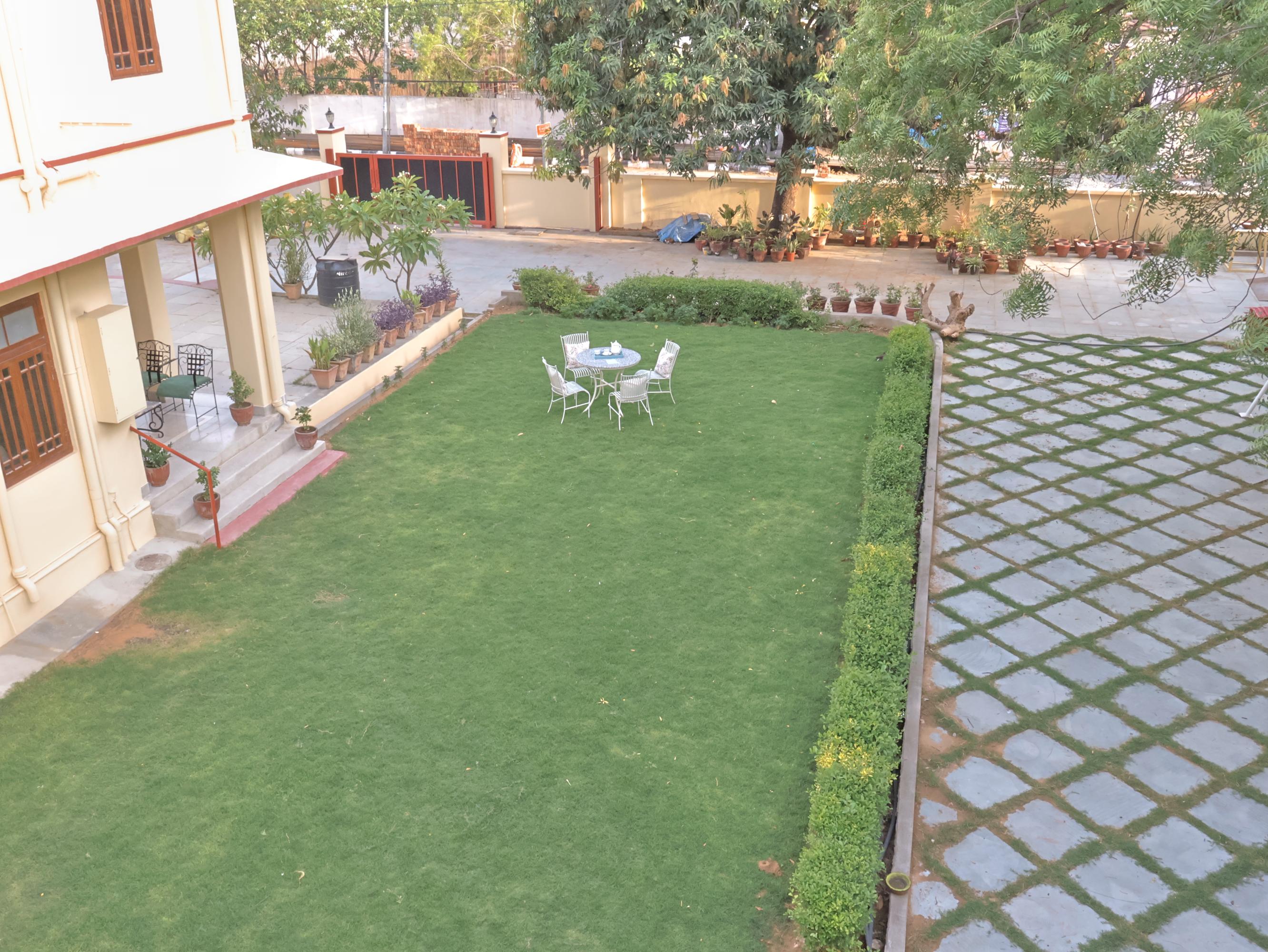 Garden