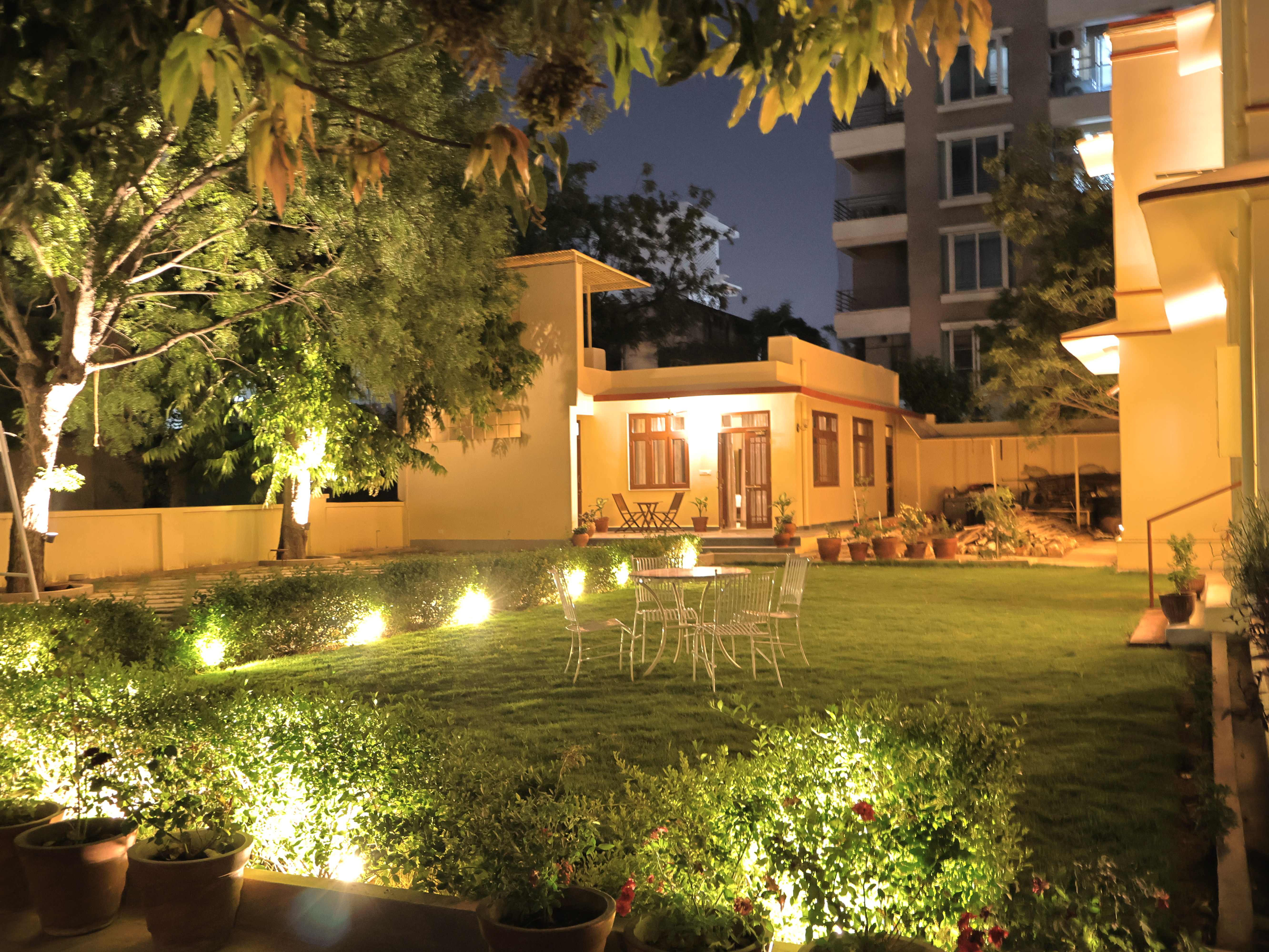 Night Garden View